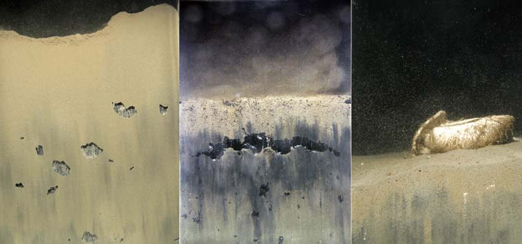 Sediment Profile Imaging (SPI)